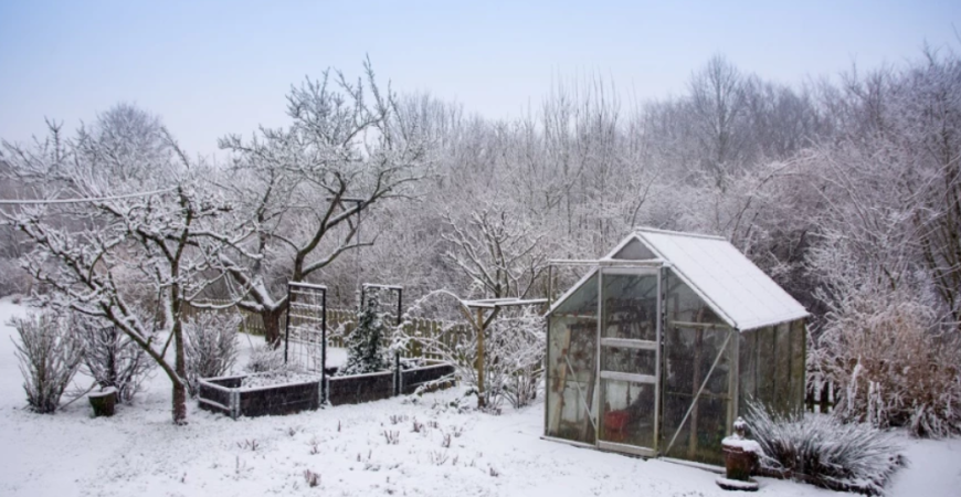 Sneh – chráni, ale tiež škodí