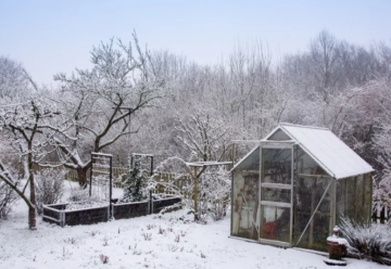 Sneh – chráni, ale tiež škodí
