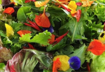 Do šalátov a dezertov – jedlé kvety byliniek, okrasných rastlín