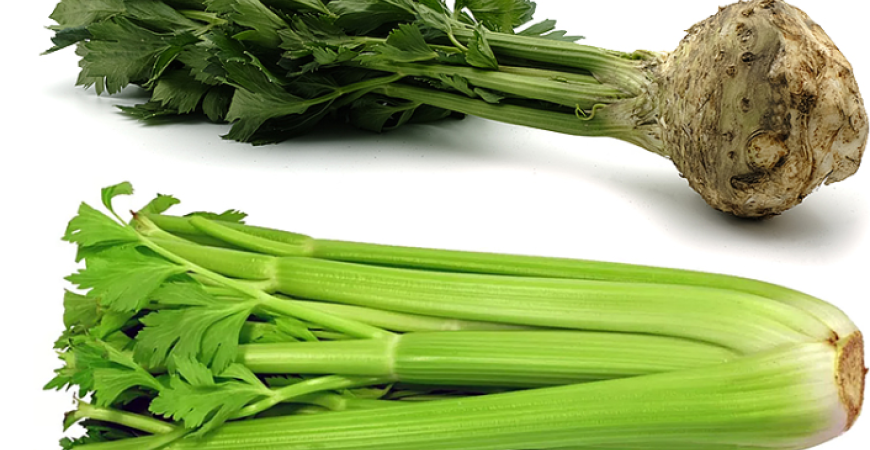 Zdravý, so širokým využitím v kuchyni – to je zeler