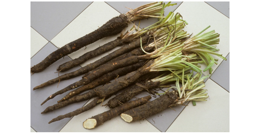 Dali by ste si hadomor španielsky? 