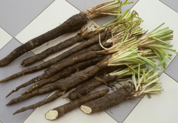 Dali by ste si hadomor španielsky? 