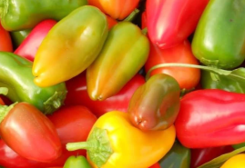 Všetko o paprikách (časť 1.)