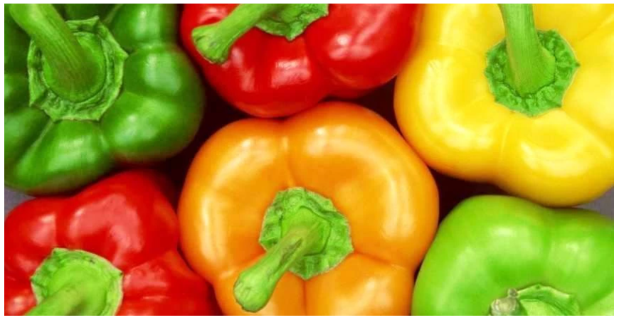 Všetko o paprikách (časť 2.)