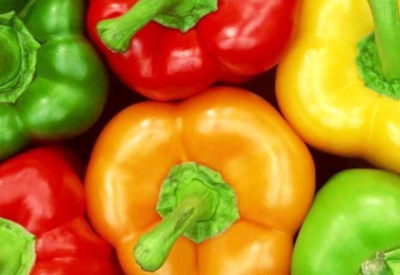 Všetko o paprikách (časť 2.)