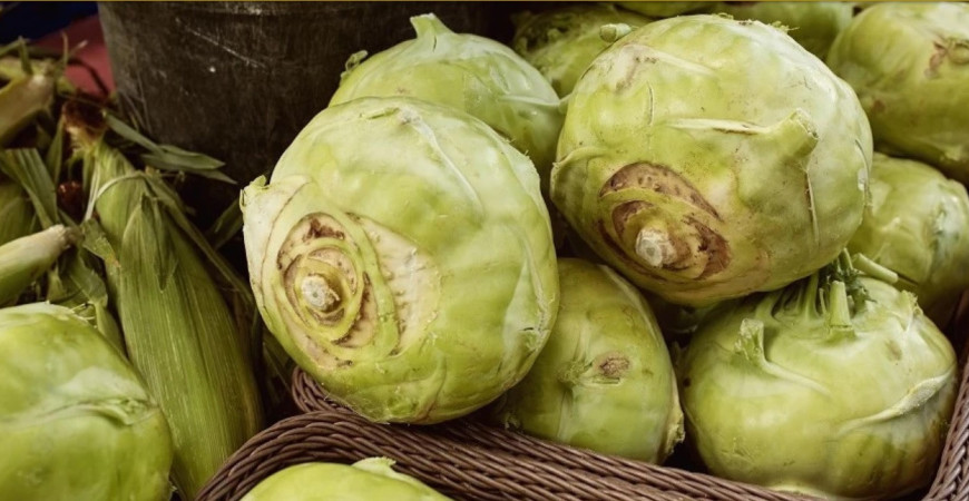 Správnu odrodu kalerábu môžete pestovať od jari do mrazov