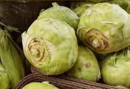 Správnu odrodu kalerábu môžete pestovať od jari do mrazov