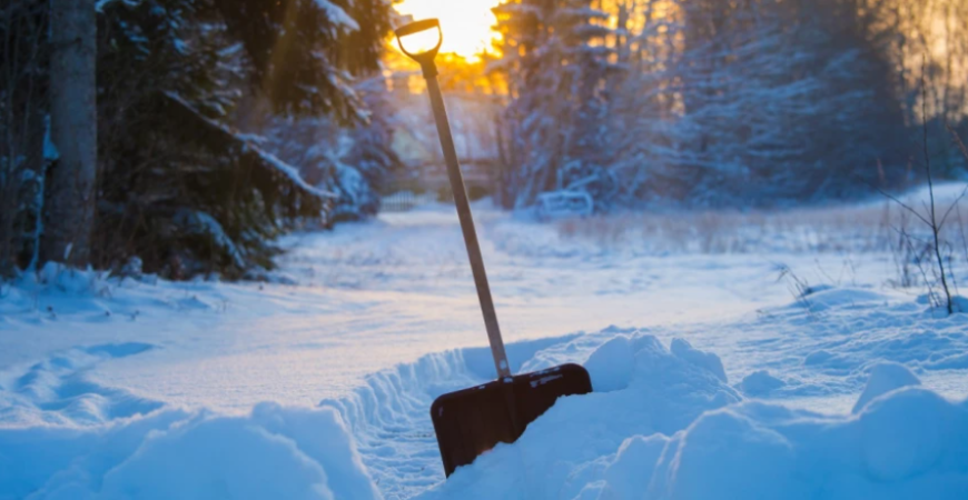Zdanlivo spiaca záhrada potrebuje aj v januári vašu starostlivosť