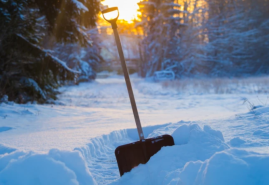 Zdanlivo spiaca záhrada potrebuje aj v januári vašu starostlivosť