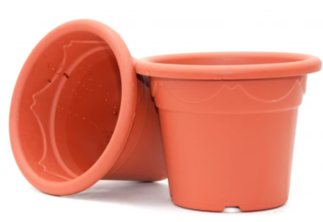 Pestujeme v nádobách