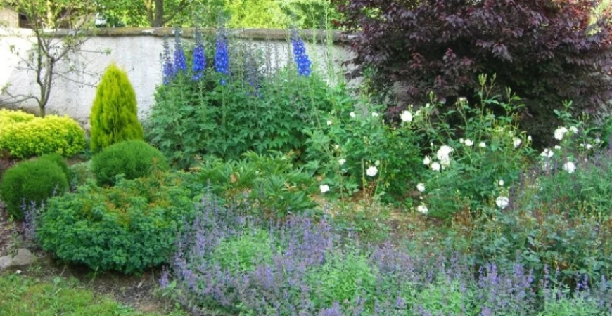 Hnojenie záhrady v jeseni