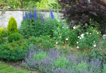 Hnojenie záhrady v jeseni