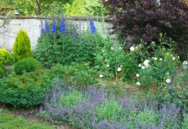 Hnojenie záhrady v jeseni