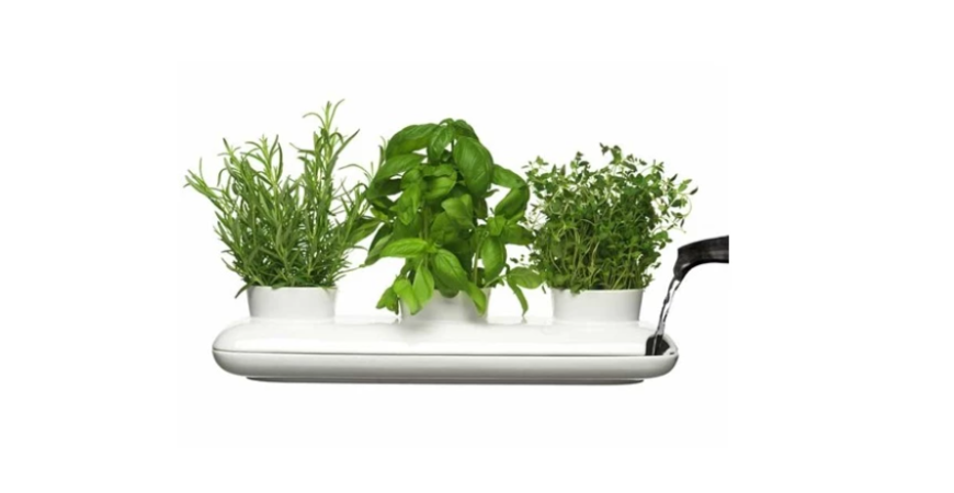 Bylinkový kvetináč môžete mať po ruke celý rok