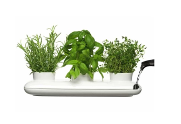 Bylinkový kvetináč môžete mať po ruke celý rok