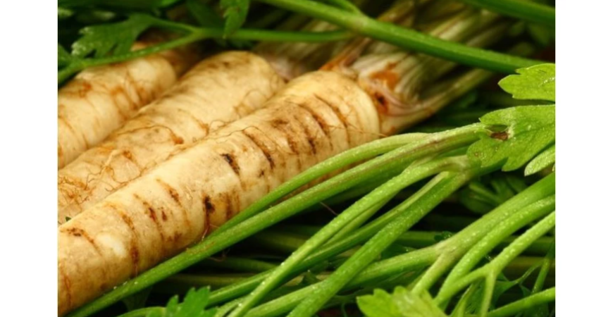 Paštrnák – pokiaľ nevzíde petržlen, je ideálnou náhradou