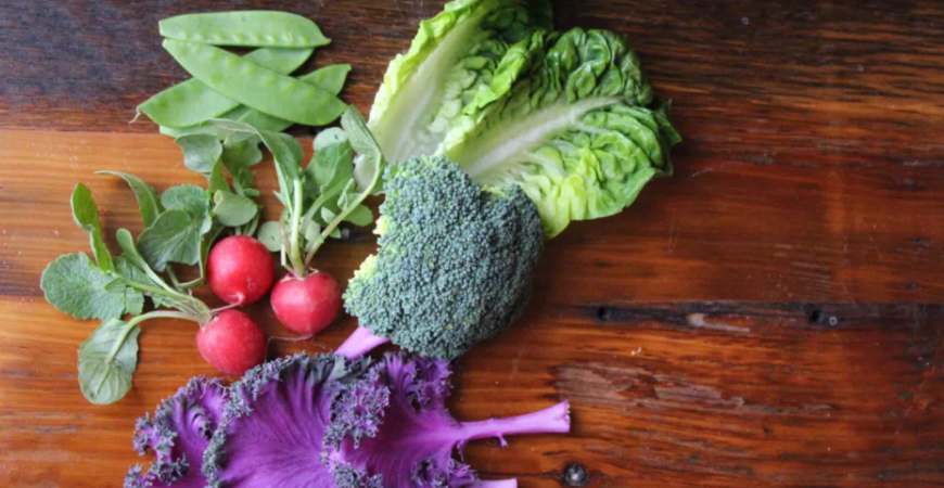 Ak pestujete zeleninu z vlastných výsevov, teraz je najvyšší čas na siatie niektorých druhov