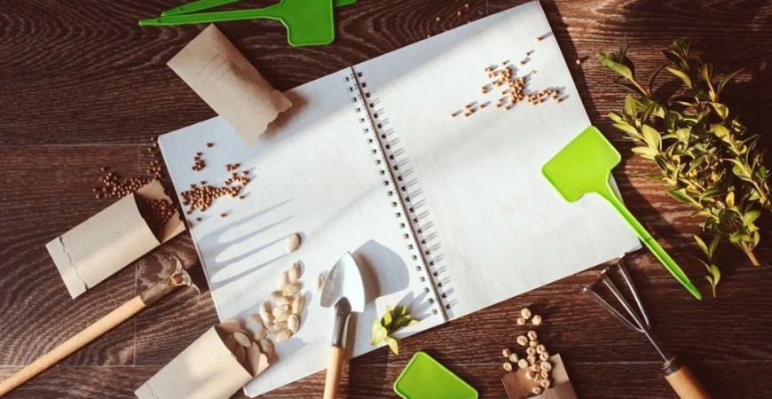 Plánujeme jarné výsadby - aké sú najobľúbenejšie jarné trvalky?