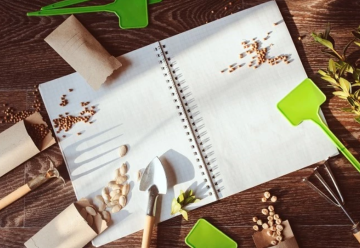 Plánujeme jarné výsadby - aké sú najobľúbenejšie jarné trvalky?