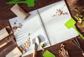 Plánujeme jarné výsadby - aké sú najobľúbenejšie jarné trvalky?