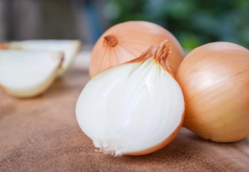 Pestovanie cibule zo semien