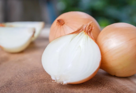 Pestovanie cibule zo semien