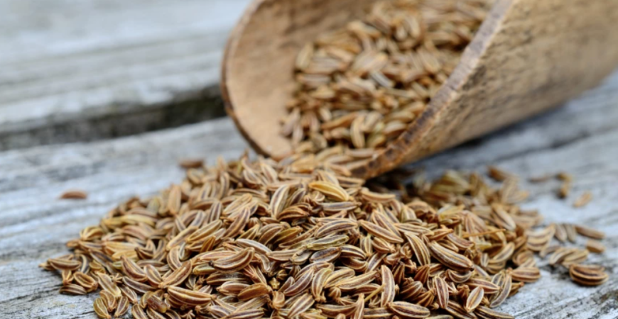 Rasca je jedným z najstarších korení ako u nás, tak aj vo svete