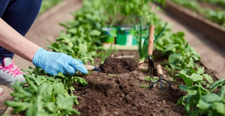 V apríli sú záhradníci vo svojom živle