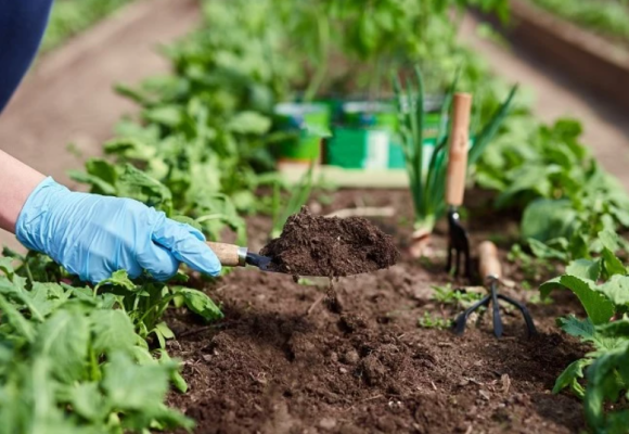 V apríli sú záhradníci vo svojom živle