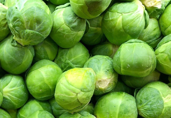 Ružičkový kel: pestovanie vitamínov v zime