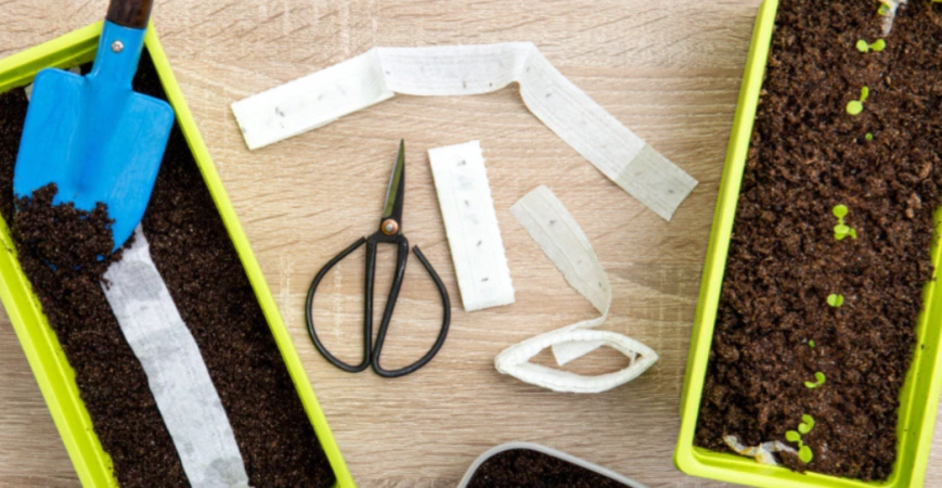 Pestovanie pomocou výsevných pásikov a diskov