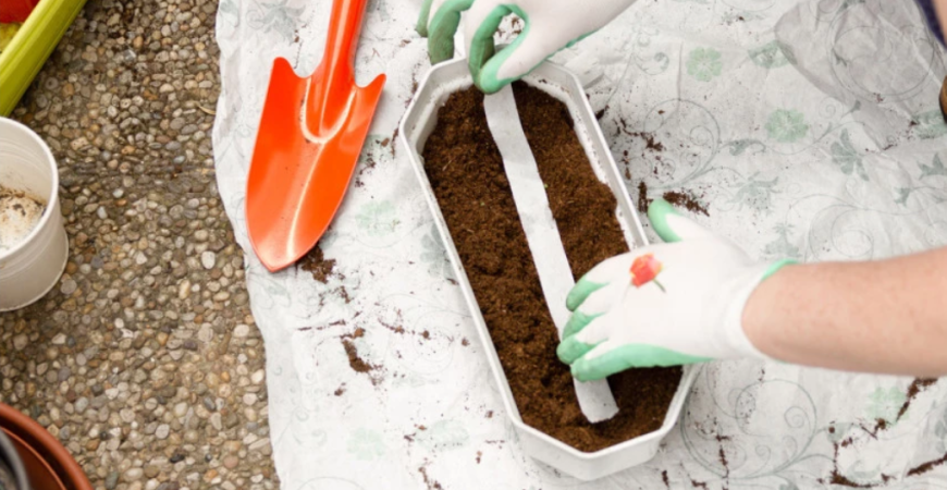 Vypestujte si zeleninu z výsevných pásikov a diskov aj v auguste