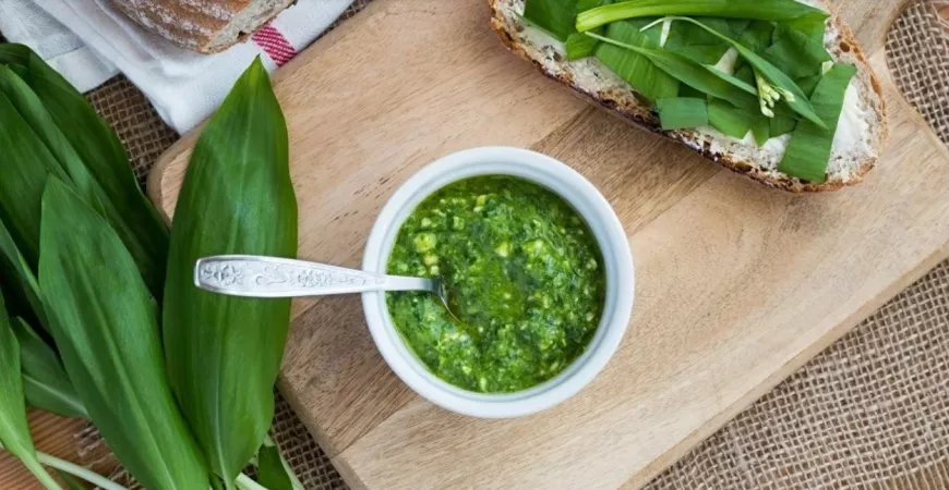 Medvedí cesnak a jeho liečivé účinky