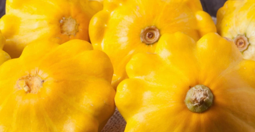 Ako správne pestovať patizóny?