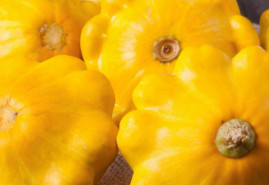 Ako správne pestovať patizóny?