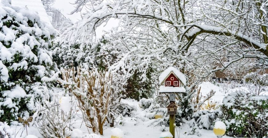 Záhradníkov kalendár: január