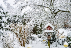 Záhradníkov kalendár: január