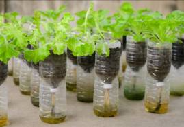 Domáce samozavlažovacie kvetináče