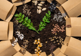 Ako vybrať najlepšie semienka pre vašu záhradu