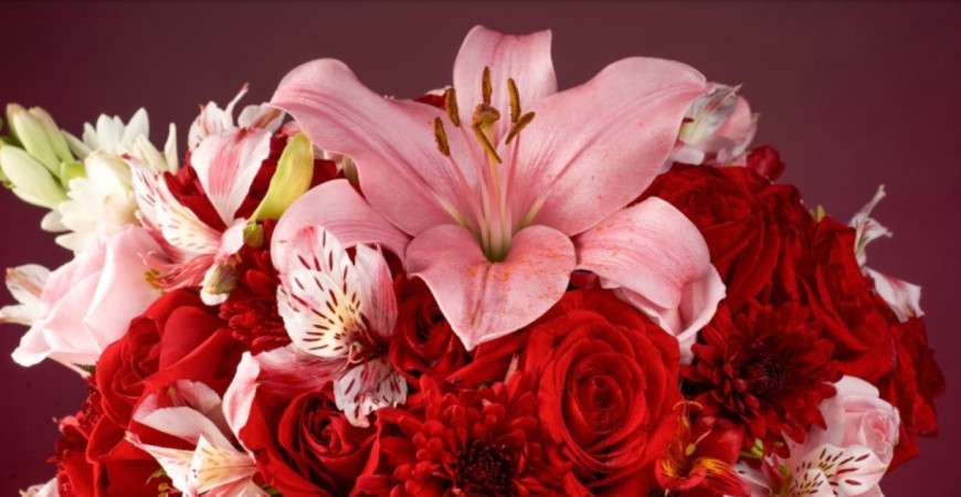 Najkrajšie rezané kvety: záhrada plná farieb a vôní