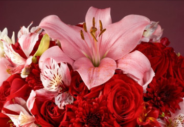 Najkrajšie rezané kvety: záhrada plná farieb a vôní