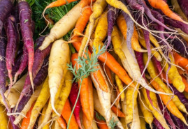 Vypestujte si s nami lahodnú mrkvu